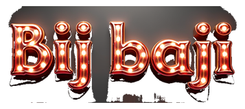 bij baji logo